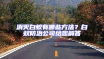 消滅白蟻有哪些方法？白蟻防治公司給您解答