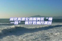 湖北高速公路服務(wù)區(qū)“慢一擋” 餐廳蒼蠅開派對