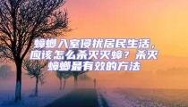 蟑螂入室侵?jǐn)_居民生活，應(yīng)該怎么殺滅滅蟑？殺滅蟑螂最有效的方法