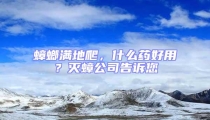 蟑螂滿地爬，什么藥好用？滅蟑公司告訴您