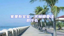 家里有寶寶，滅蟑螂要注意什么