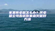 家里有老鼠怎么辦？滅老鼠公司告訴你家庭滅鼠好方法