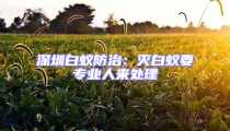 深圳白蟻防治：滅白蟻要專業人來處理