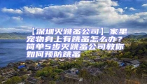 【深圳滅跳蚤公司】家里寵物身上有跳蚤怎么辦？簡(jiǎn)單5步滅跳蚤公司教你如何預(yù)防跳蚤