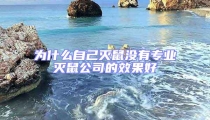 為什么自己滅鼠沒有專業滅鼠公司的效果好