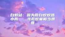 白蟻站：因?yàn)樯紫佅伮沸《]骳，尋覓蟻巢相當(dāng)艱難
