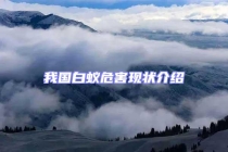 我國白蟻危害現狀介紹