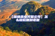 【深圳殺蟲(chóng)滅鼠公司】怎么輕松抓到老鼠