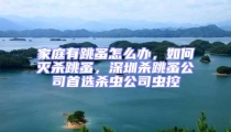 家庭有跳蚤怎么辦，如何滅殺跳蚤，深圳殺跳蚤公司首選殺蟲公司蟲控