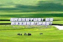 如何殺死蚊子幼蟲？蚊蟲的孳生地有哪幾種類型？