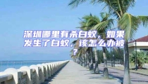 深圳哪里有殺白蟻，如果發生了白蟻，該怎么辦被？