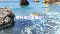 如何選擇殺蟲(chóng)藥？