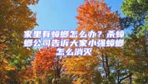 家里有蟑螂怎么辦？殺蟑螂公司告訴大家小強蟑螂怎么消滅