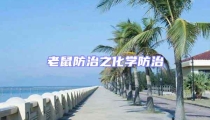老鼠防治之化學防治
