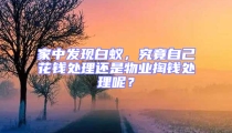 家中發(fā)現白蟻，究竟自己花錢處理還是物業(yè)掏錢處理呢？