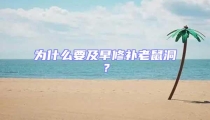 為什么要及早修補(bǔ)老鼠洞？