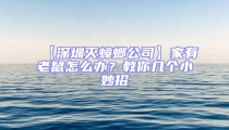 【深圳滅蟑螂公司】家有老鼠怎么辦？教你幾個小妙招