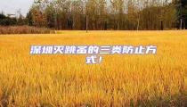 深圳滅跳蚤的三類防止方式！