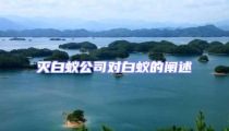 滅白蟻公司對白蟻的闡述