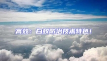 高效：白蟻防治技術特色！