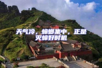 天氣冷，蟑螂集中，正是滅蟑好時機