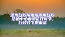 深圳白蟻防治所深圳白蟻防治中心春暖花開時節，白蟻分飛期來臨