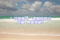 ”江湖恩怨“老鼠咬死三只貓 真是奇葩！