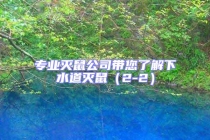 專業(yè)滅鼠公司帶您了解下水道滅鼠（2-2）