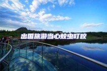 出國旅游當(dāng)心蚊蟲叮咬