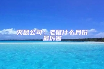 滅鼠公司：老鼠什么月份最厲害