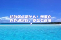 蛇的弱點是什么？如果在野外遇到蛇，要怎么逃脫？