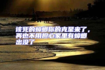 該死的蟑螂你的克星來(lái)了，再也不用擔(dān)心家里有蟑螂出沒(méi)了