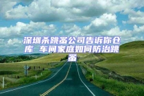 深圳殺跳蚤公司告訴你倉(cāng)庫(kù) 車(chē)間家庭如何防治跳蚤