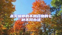 殺滅蟑螂的不用藥物的七種不同辦法