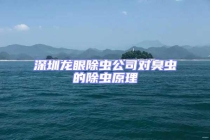 深圳龍眼除蟲公司對臭蟲的除蟲原理