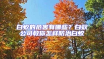白蟻的危害有哪些？白蟻公司教你怎樣防治白蟻