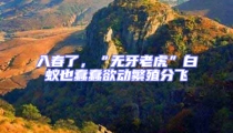 入春了，“無牙老虎”白蟻也蠢蠢欲動繁殖分飛