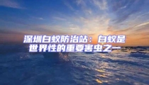 深圳白蟻防治站：白蟻是世界性的重要害蟲之一