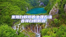 發現白蟻后的處理方法 吉祥白蟻防治
