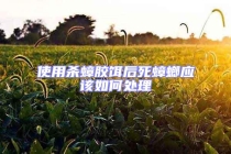 使用殺蟑膠餌后死蟑螂應(yīng)該如何處理