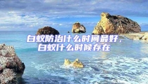 白蟻防治什么時間最好，白蟻什么時候存在