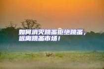 如何消滅跳蚤拒絕跳蚤，遠離跳蚤市場！