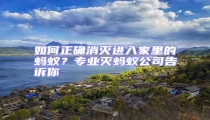如何正確消滅進入家里的螞蟻？專業滅螞蟻公司告訴你