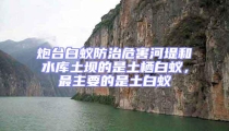 炮臺白蟻防治危害河堤和水庫土壩的是土棲白蟻，最主要的是土白蟻