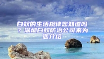 白蟻的生活規律您知道嗎？深圳白蟻防治公司來為您介紹