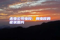 殺蟲公司蟲控：臭蟲咬的癥狀圖片