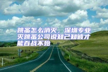 跳蚤怎么消滅，深圳專業滅跳蚤公司說知己知彼才能百戰不殆