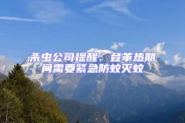 殺蟲公司提醒：登革熱期間需要緊急防蚊滅蚊