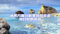 從兩方面分析家裝后會出現白蟻的原因