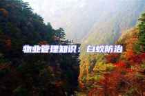 物業(yè)管理知識(shí)：白蟻防治